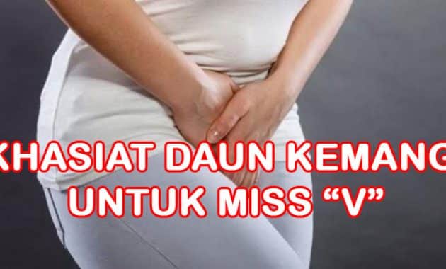 khasiat daun kemangi untuk miss v