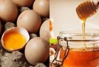 manfaat kuning telur dan madu untuk pria