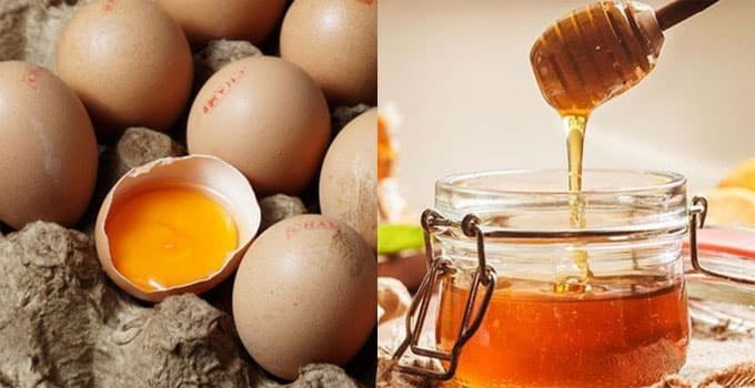 manfaat kuning telur dan madu untuk pria