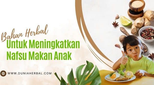 cara meningkatkan nafsu makan anak