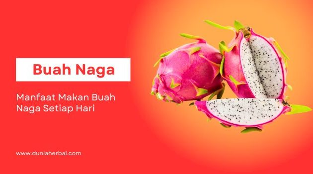 manfaat makan buah naga setiap hari