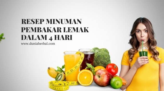 resep minuman pembakar lemak dalam 4 hari